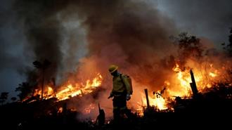Βραζιλία: Οι Πυρκαγιές Εξακολουθούν να Κατακαίουν τον Αμαζόνιο και το Παντανάλ